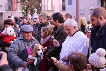 Carta enviada por fredetrero